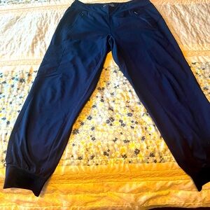 Healing hands jogger scrub pants- small petite